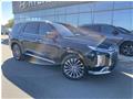 2023
Hyundai
Palisade Ultimate Calligraphy 7 places TI